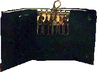 ringflight