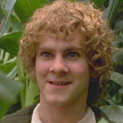 Merry/ Dominic Monaghan