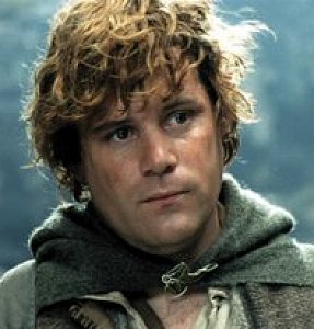Sam/ Sean Astin