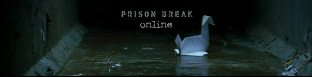 Prison Break Online