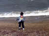 sea-jws.jpg (61433 bytes)