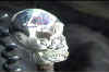 skullshifter.jpg (70361 bytes)