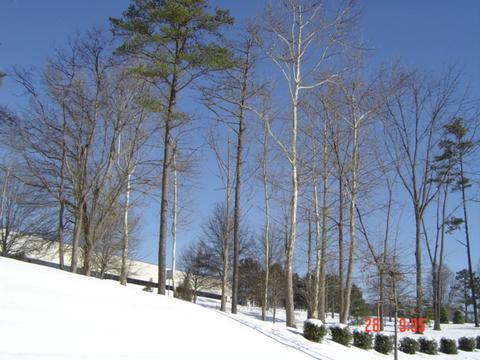 Clear skies after snow