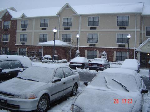 Snow Fall-Cars