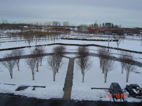 View From Office