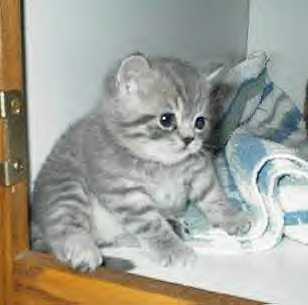 Awww, cute!!!!