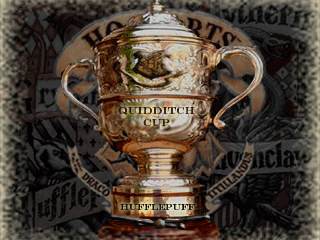 Magical Realm of Hogwarts: 1st Quidditch Cup 2nd Term awarded to Hufflepuff