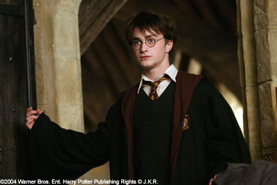 Daniel Radcliffe as Harry Potter