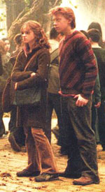 Hermione and Ron looking at something