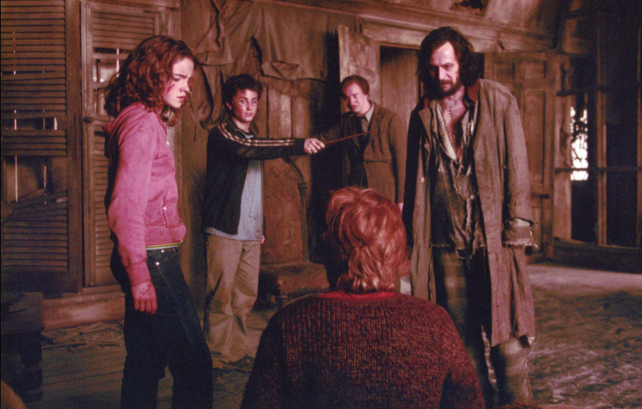 The Shrieking Shack: Hermione, Harry, Ron, Prof. Remus Lupin and Sirius Black. ((sorry about the picture quality))
