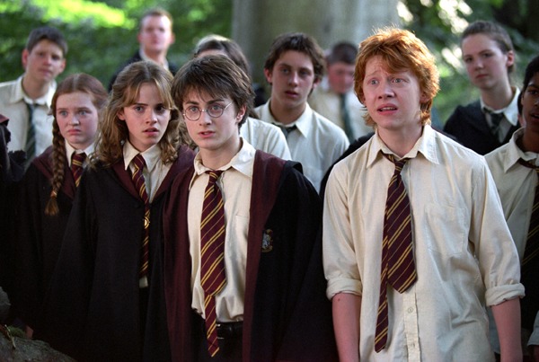 School kids looking at something...