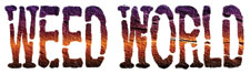 check issue 63 (this months) for a double page spread on riskdesigns.com