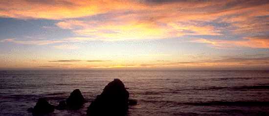 3insea.jpg (14110 bytes)