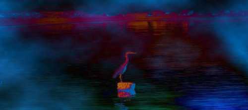 Alone.jpg (7105 bytes)