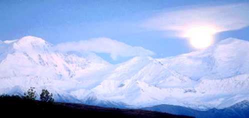 Coldsun.jpg (9241 bytes)