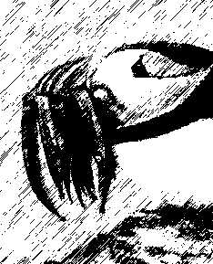 Lun.jpg (22455 bytes)
