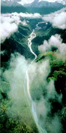 River.jpg (14229 bytes)