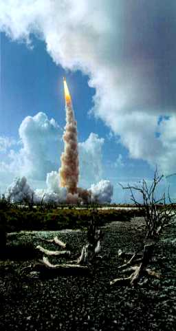 Rocket.jpg (16457 bytes)