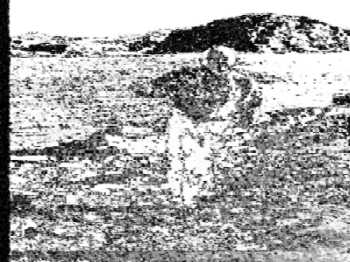 Running.jpg (22448 bytes)