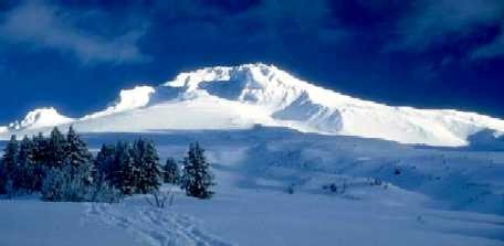 Snospor.jpg (9913 bytes)