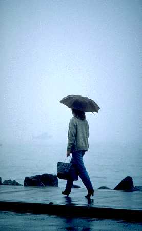 Walkaway.jpg (9947 bytes)