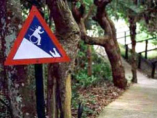Scratched sign