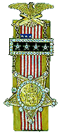 Past Commander-in-Chief Medal