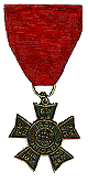 SUVCW Order of the Iron Brigade Insignia