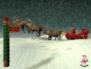 reindeer