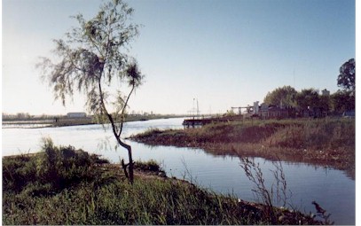 Paisaje ribere�o