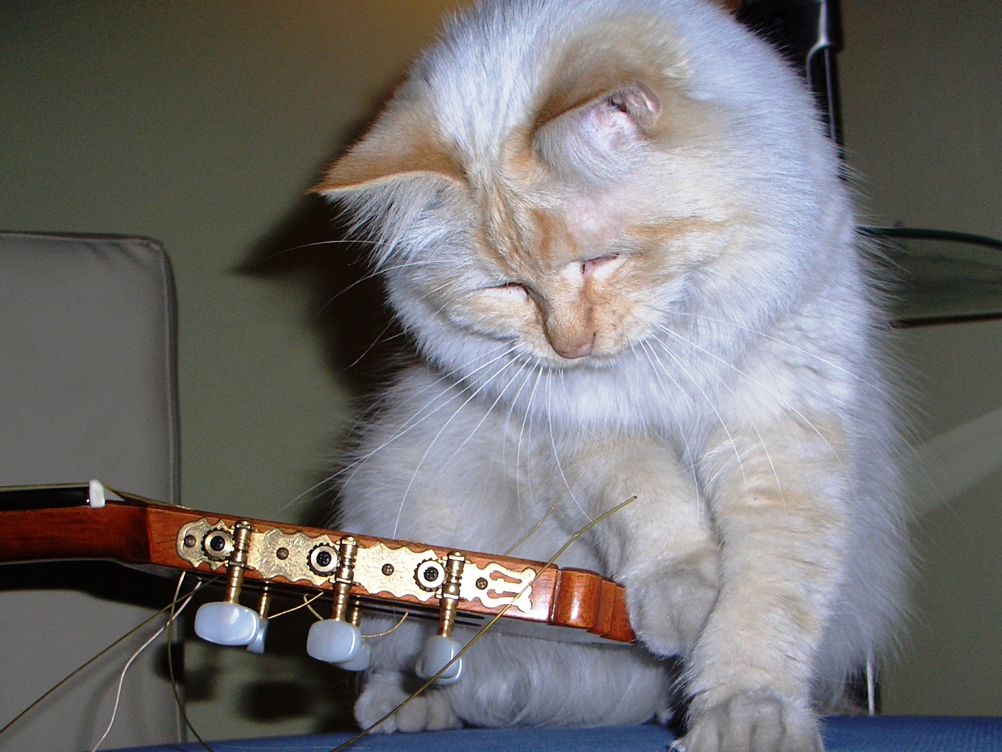 Want to play guitar ...