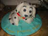 Dalmation.jpg (35041 bytes)