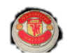 manchester united logo.jpg (27914 bytes)