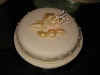 witness cake.JPG (21462 bytes)