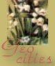 GeoCities