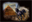 Hieroglyphics