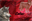 Latias