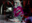 Vampire