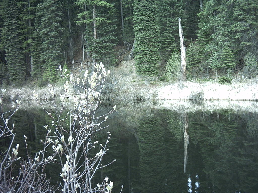 Clear, Clean Water Chuck Full O' Fish!