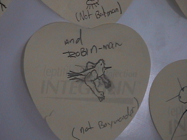 "Robin Man"