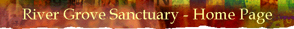 River Grove Sanctuary - Home Page