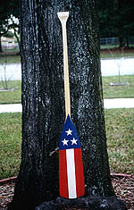stripestars1a.jpg (21750 bytes)