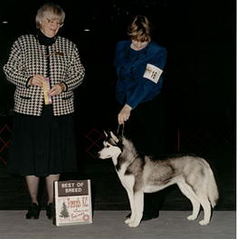 Jillie Best of Breed