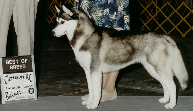 Best of Breed