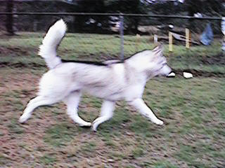 Lucy