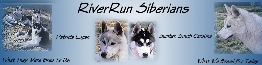 Welcome To RiverRun Siberian Huskies