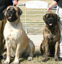Ivan (Bela's Grandfather) & Bela