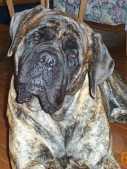 Bela at 25 months