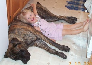 Bela at 13 Months