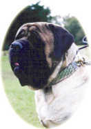 Bela's Father